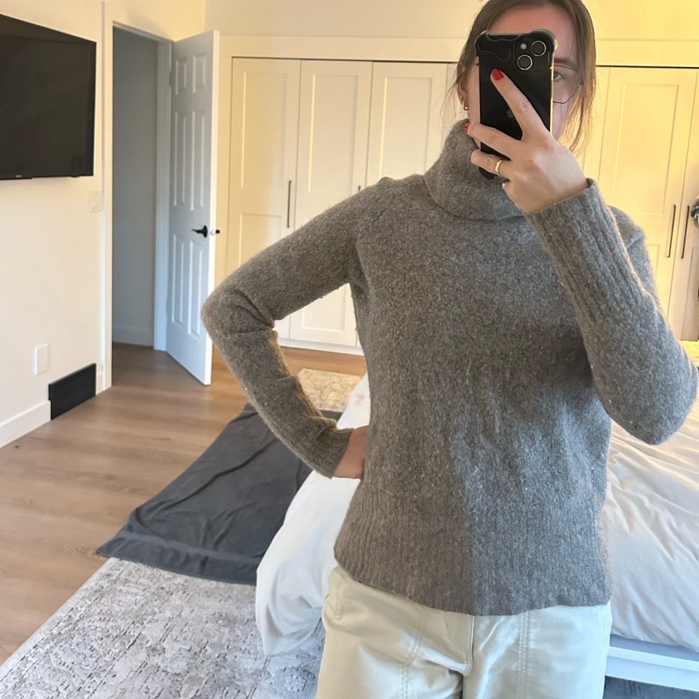 Aritzia Sweater Turtleneck